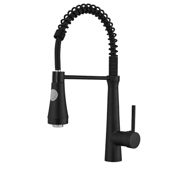 Pull-Down Kitchen Faucet With Dual Function Sprayhead In All-Brite Spot Free Stainless Steel With LED Black