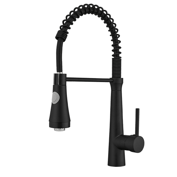 Pull-Down Kitchen Faucet With Dual Function Sprayhead In All-Brite Spot Free Stainless Steel With LED Black