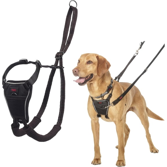 No Pull Harness - Stop Your Dog Pulling on the Leash. Adjustable, Lightweight and Easy to Use. Reflective Dog Training Harness for Medium Dogs (Size M, Black)