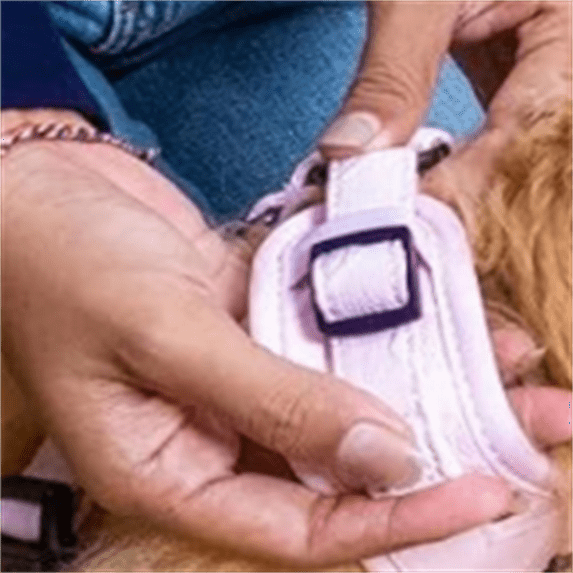 No Pull Neoprene Dog Harness and Leash Set for Small Dog, Neck(14–17 in), Adjustable Soft Mesh Design, Pink S -Lightweight No Choke Fit, Step-in, Escape-Proof Comfort