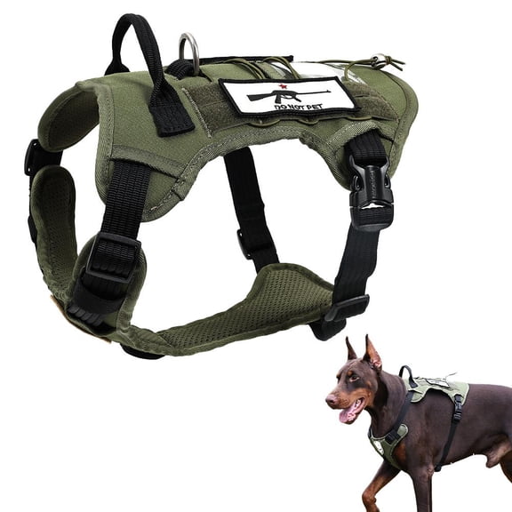 No Pull Pet Harness for Dogs & Cats - Adjustable Mesh Vest Harness with Front & Back D-Rings, Breathable & Comfortable for Walking, Training, Hiking (Black/Green, S/M/L)