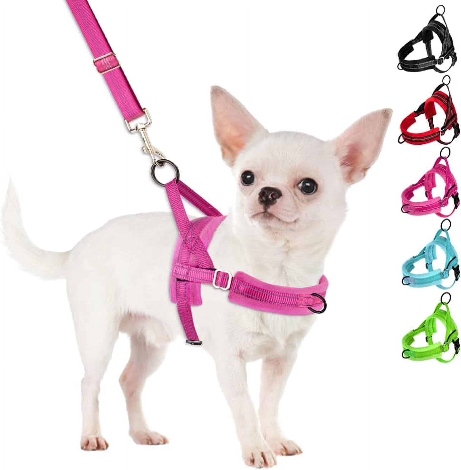 No Pull Small Dog Harness and Leash Set, Puppy Soft Vest Harness Neck & Chest Adjustable, Reflective Lightweight Harness & Anti-Twist Pet Lead Combo for Small Medium Dogs (Fuchsia, XXS)