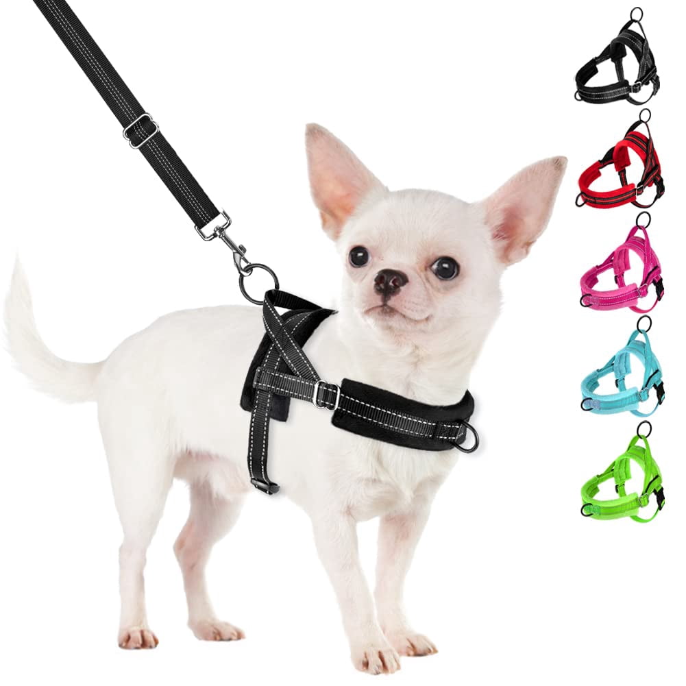 No Pull Small Dog Harness And Leash Set  Puppy Soft Vest Neck & Chest Adjustable Reflective Lightweight Anti-twist Pet Lead Combo For Medium Dogs (black Xs)