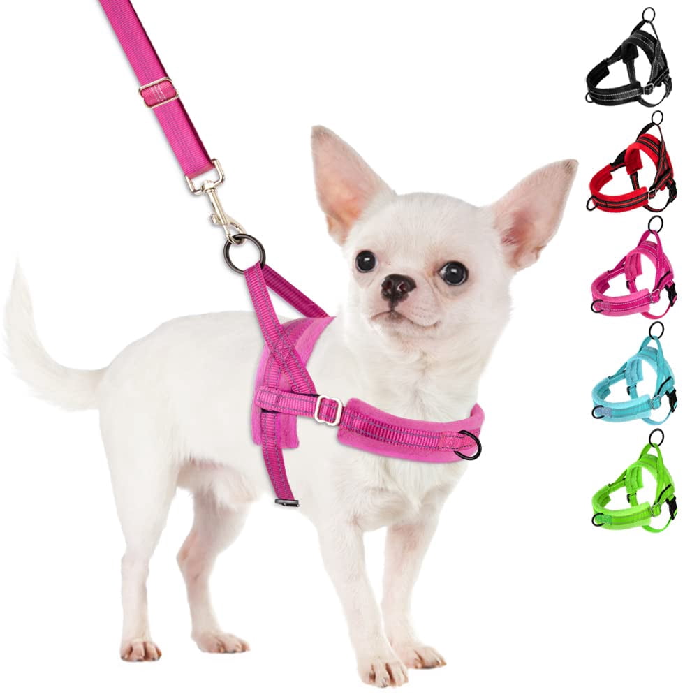 No Pull Small Dog Harness And Leash Set  Puppy Soft Vest Neck & Chest Adjustable Reflective Lightweight Anti-twist Pet Lead Combo For Medium Dogs (fuchsia Xxs)