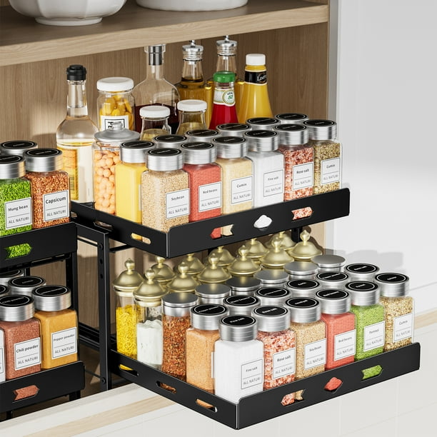 Pull Out Spice Rack Organizer for Cabinet, 2-Tier Cabinet Spice