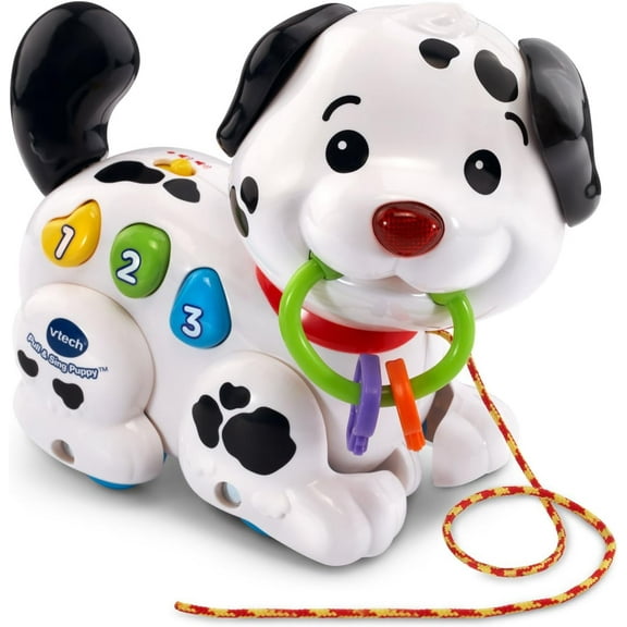 Pull and Sing Puppy Push or pull the playful kids toy puppy using the cord to activate musictoys for 6 month old to 36 month old kids
