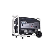 Pulsar 3500-Watt Gas Powered Portable Generator CARB