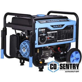 Pulsar Products 13000 Watt Dual Fuel Generator With Remote Start
