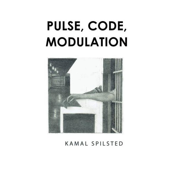 Pulse, Code, Modulation (Paperback)