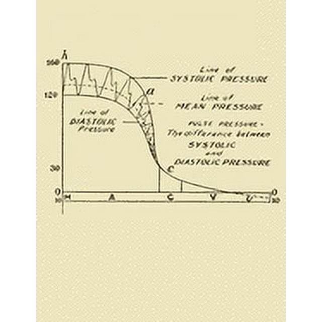 Pulse Pressure Equals The Difference Between Systolic and Diastolic