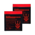 thumbnail image 1 of Pulse Reverb 12V 5Ah SLA Replacement Electric Scooter Battery by Neptune - 2 Pack, 1 of 7