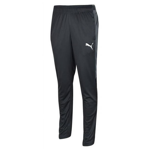 Puma Men's Speed Training Pants Black-Asphalt 656299-03
