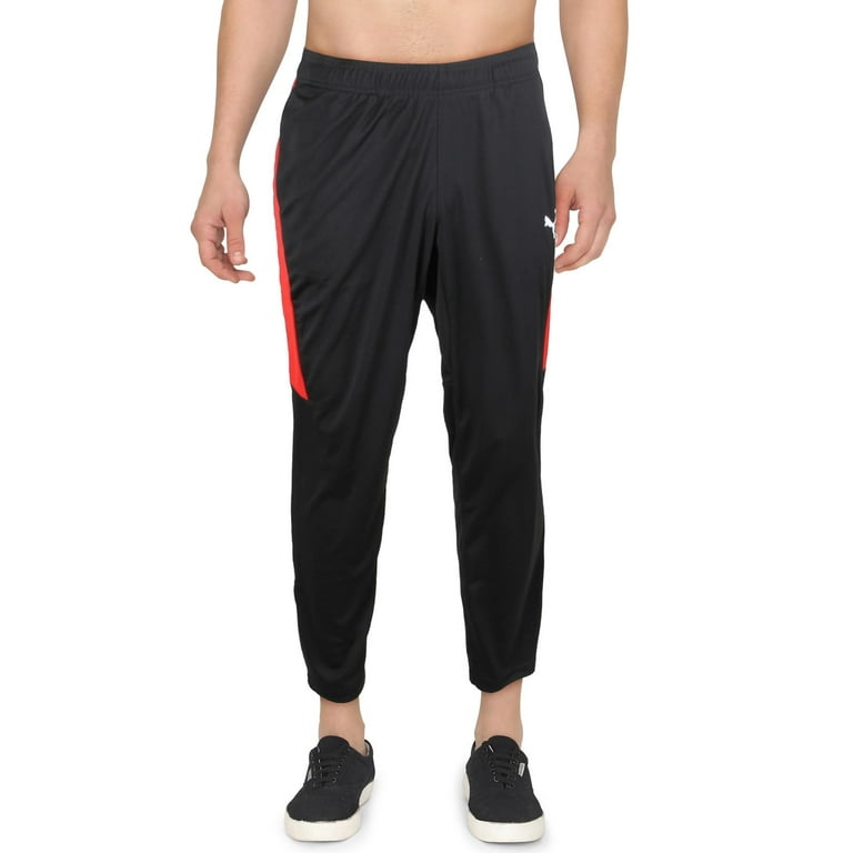 Puma mens speed pants sale