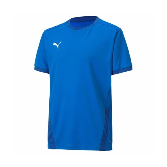 Puma Mens Team Goal 23 Soccer Jersey, Blue, Small