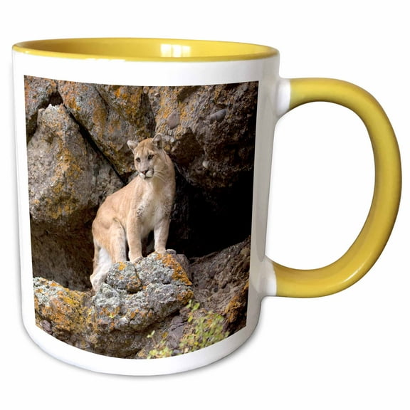 3drose, Puma, Yellowstone Np, Montana - Us27 Jmc0006 - Joe and Mary Ann Mcdonald, 11oz Two-tone Yellow Mug