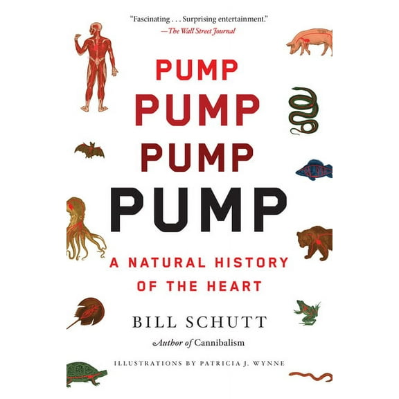 Pump : A Natural History of the Heart (Paperback)