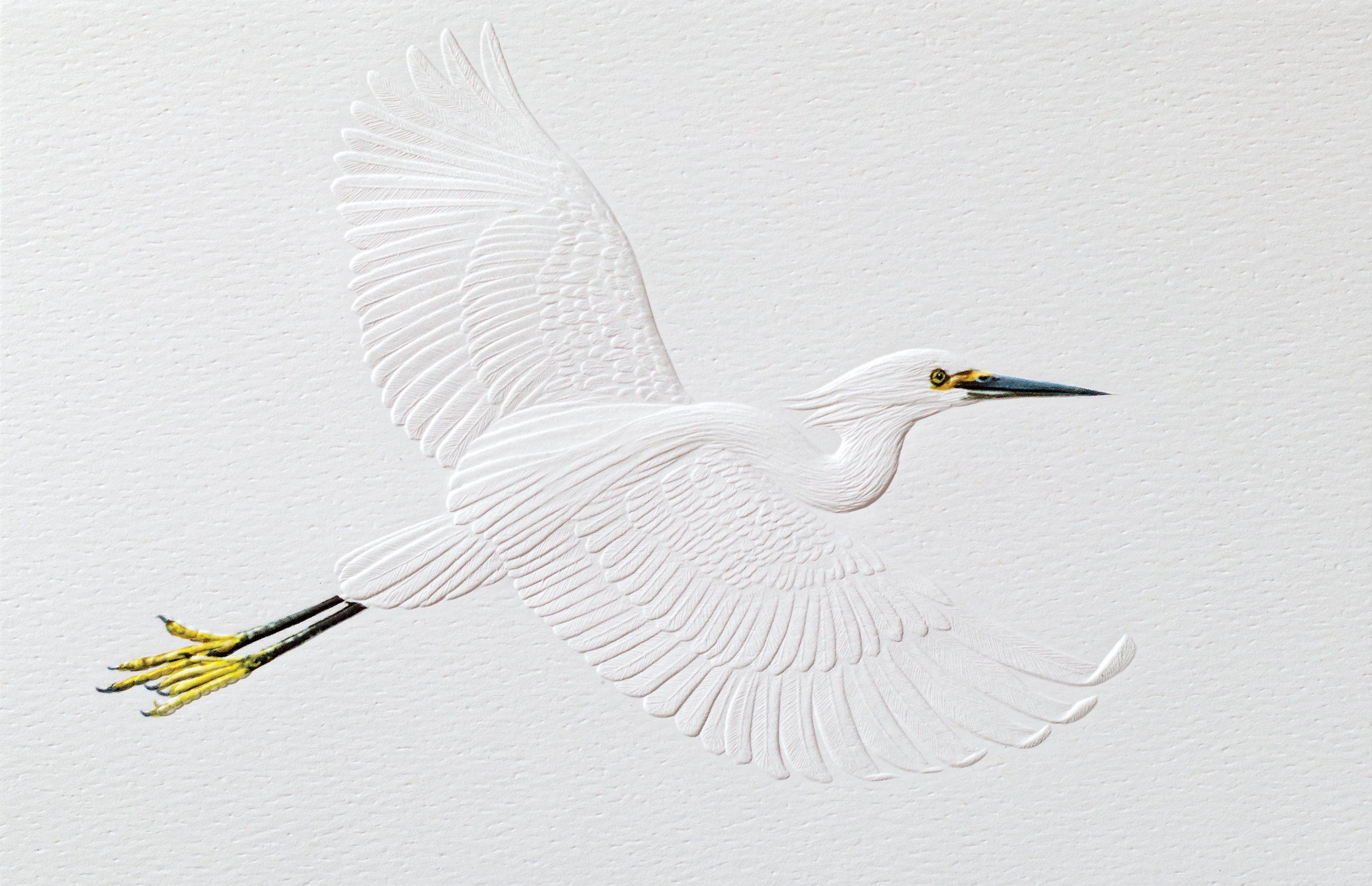 Pumpernickel Press Embossed Christmas Greeting Cards Boxed Set Snowy