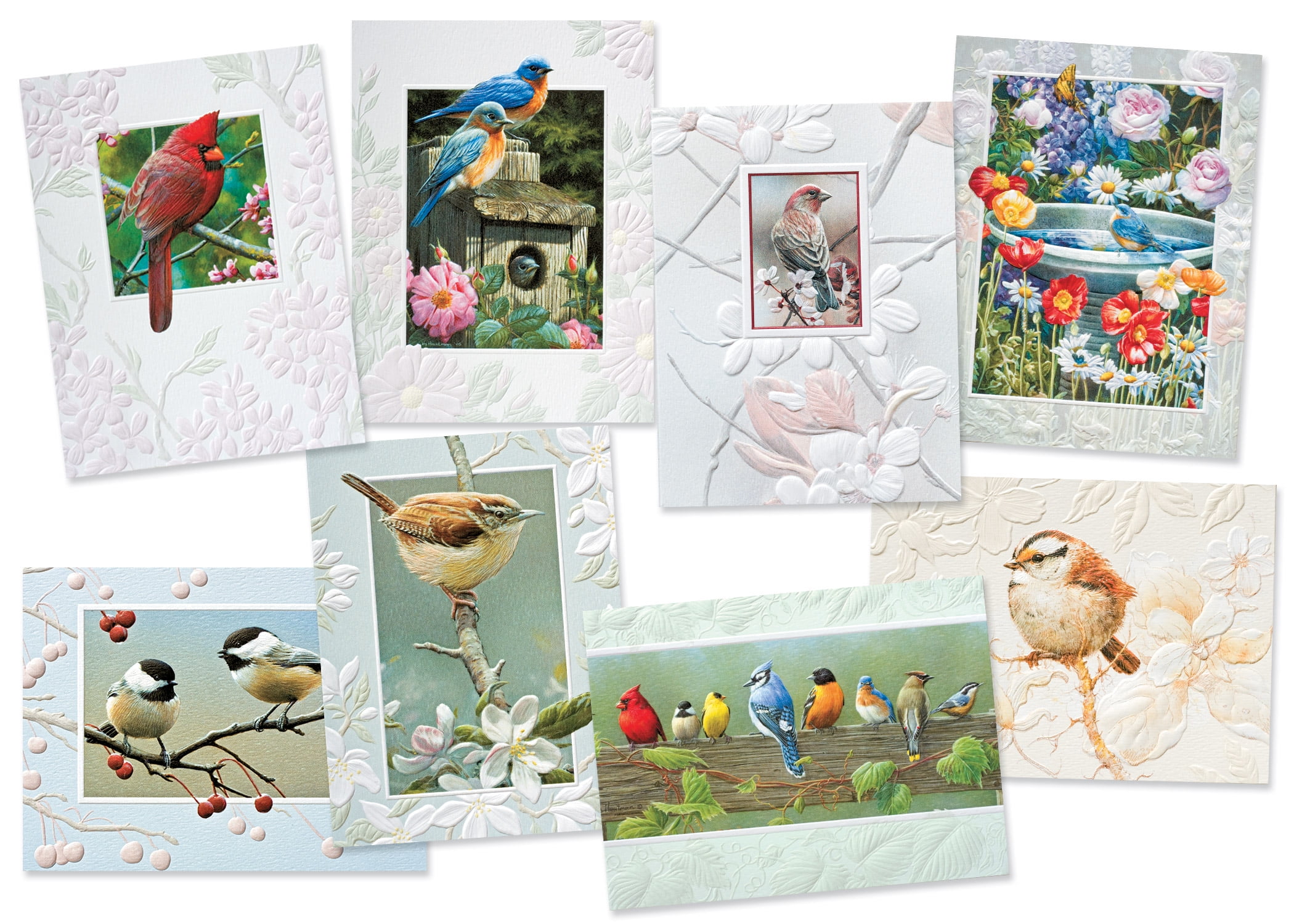 Pumpernickel Press Embossed Greeting Cards Boxed Assortment Birds and