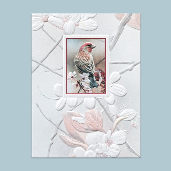 Pumpernickel Press Embossed Small/Petite Blank Note Card Set - Pretty Perch, 18 Count. Made in USA