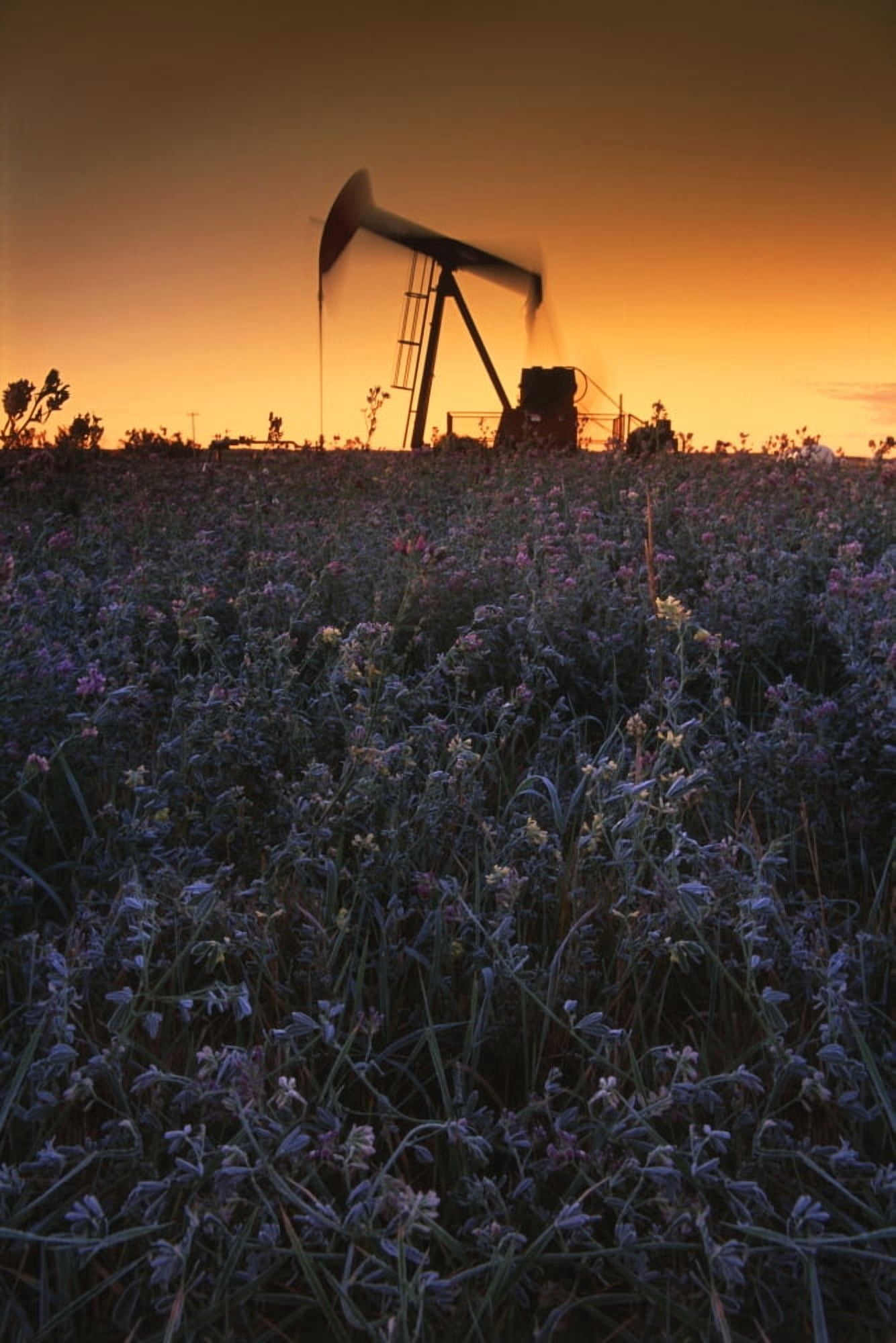 Pumpjack In A Field Alberta Canada Canvas Art - Corey Hochachka Design Pics (11 x 17)