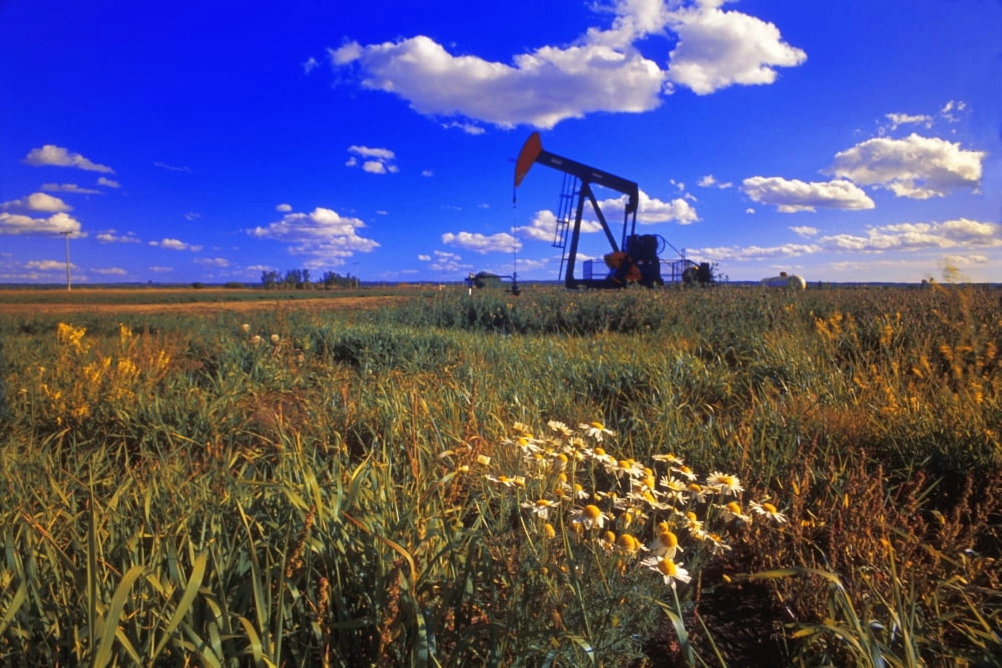 Pumpjack In A Field Alberta Canada Canvas Art - Corey Hochachka Design Pics (34 x 22)