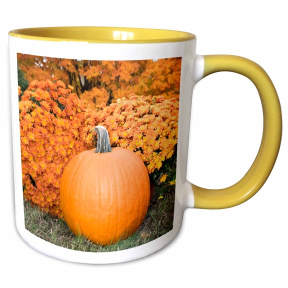 3drose, Pumpkin and Mums, Fall Foliage, Reading, Massachusetts, Usa, 11oz Two-tone Yellow Mug