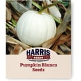 thumbnail image 1 of Harris Seeds Pumpkin Blanco F1 Non-GMO Vegetable - 250 Seeds, 1 of 7