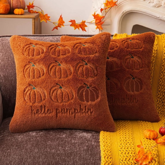 Pumpkin Embroidery Throw Pillow Cover Pumpkin Letter Decorative Square Sofa Cushion Cover Fall Farmhouse Couch Decor by OVFUIZ