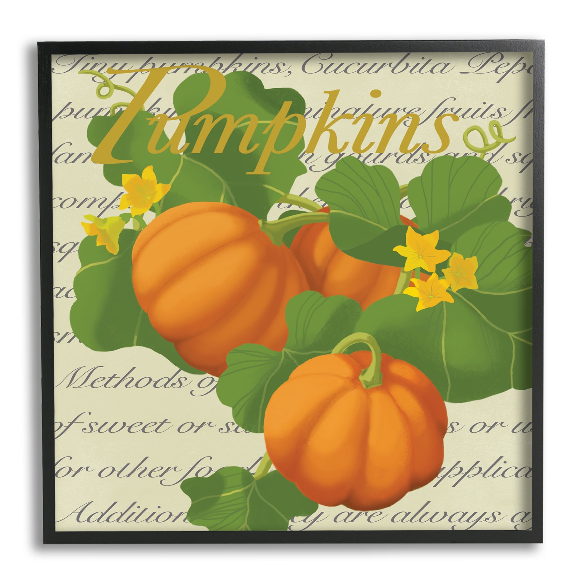 Pumpkin Floral Gourd Plants Vintage Typography Food & Beverage Framed Art Print Wall Art, 17x17