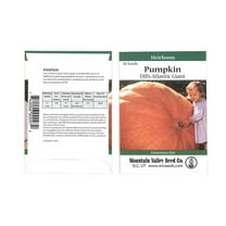 Pumpkin Garden Seeds - Dills Atlantic Giant Variety - 10 Seed Packet - Non-GMO, Heirloom Pumpkins - Medium Orange - Vegetable Gardening Seed