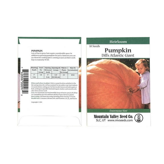 Pumpkin Garden Seeds - Dills Atlantic Giant Variety - 10 Seed Packet - Non-GMO, Heirloom Pumpkins - Medium Orange - Vegetable Gardening Seed