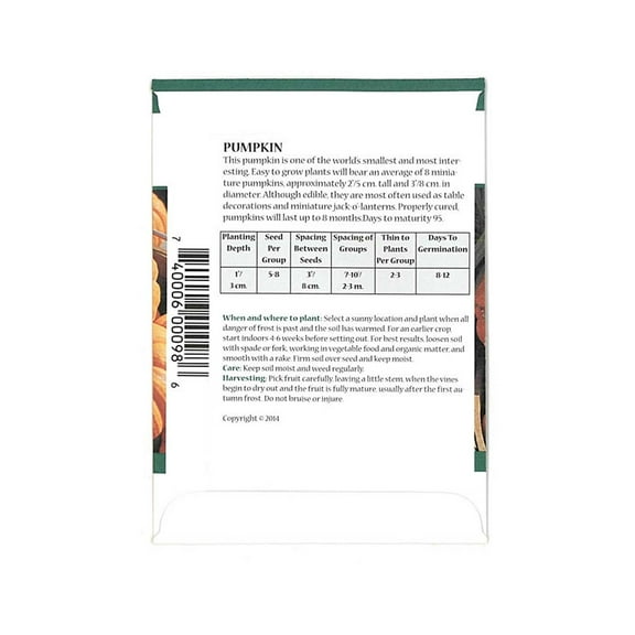 Pumpkin Garden Seeds - Jack Be Little - 2 Gram Packet - Non-GMO, Heirloom Pumpkins - Deep Orange - Vegetable Gardening Seeds