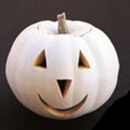thumbnail image 1 of Pumpkin Garden Seeds - Lumina Variety - 1 oz - Non-GMO, Heirloom Pumpkins - White Pumpkin - Vegetable Gardening Seed, 1 of 2
