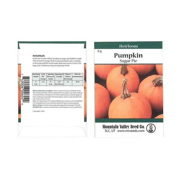 Pumpkin Garden Seeds - Sugar Pie Variety - 5 Gram Packet - Non-GMO, Heirloom Pumpkins - Great for Pies and Canning - Vegetable Gardening Seed