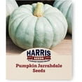 thumbnail image 1 of Harris Seeds - Pumpkin Jarrahdale Treated Winter Squash Ornamental Non-GMO - 1lb, 1 of 7