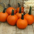 thumbnail image 1 of Pumpkin Little Giant F1 Seed - NON-GMO - 250 Seeds, 1 of 1