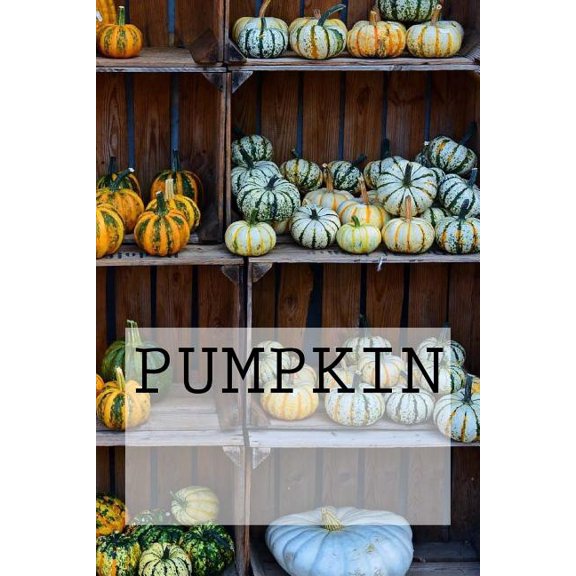 Pumpkin (Paperback)