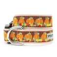 thumbnail image 1 of Pumpkin Patch Collar, 1 of 3