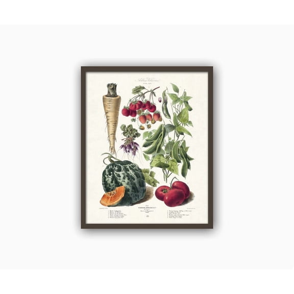 Pumpkin Print, Unframed Paper Poster 24x36in