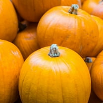 Pumpkin Seeds - Spookie - 8 g Packet ~60 Seeds - Cucurbita pepo - Fruit and Vegetable Garden Seeds - Non-GMO, Heirloom, Open Pollinated, Annual