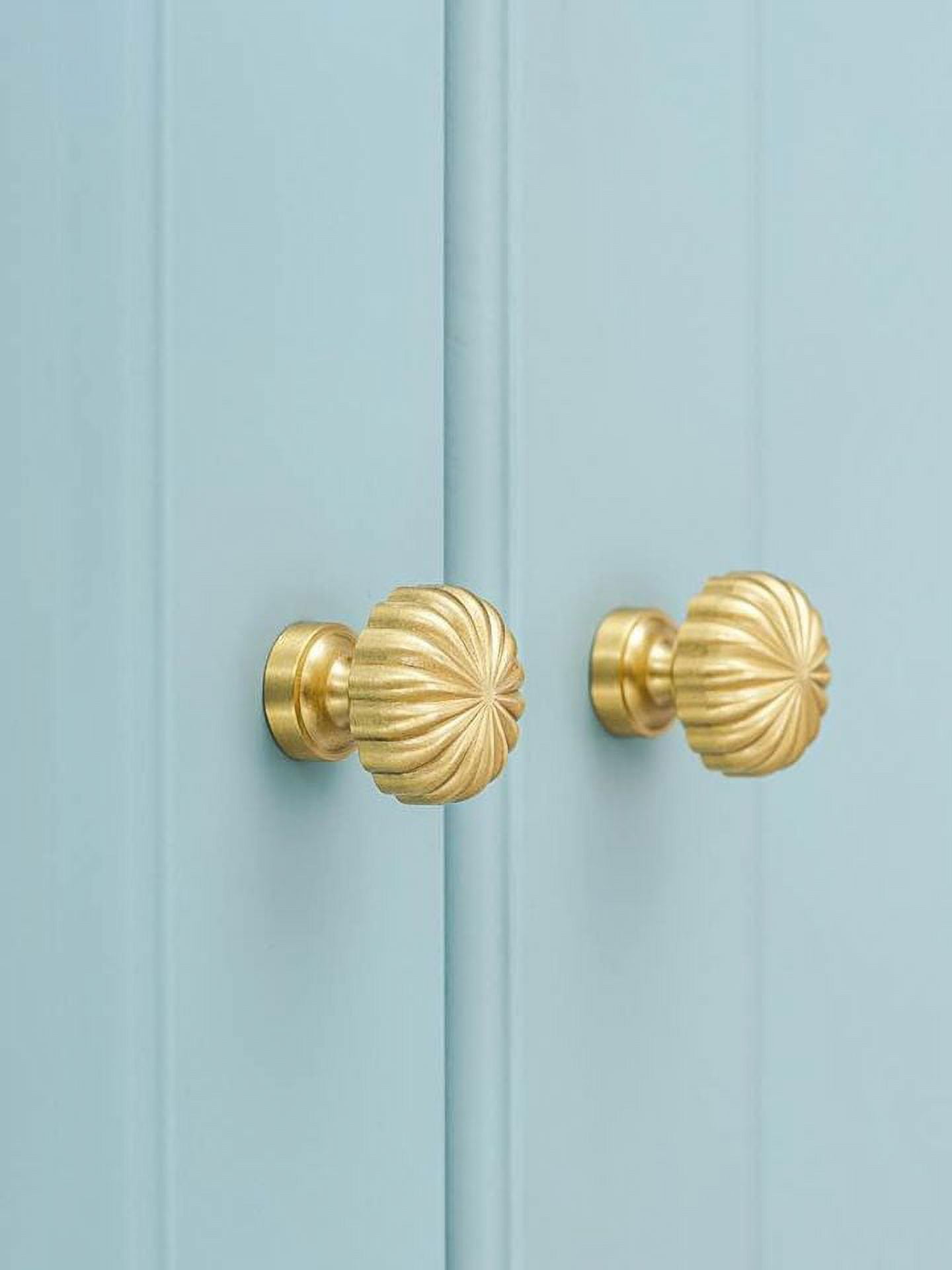 Random Living Pumpkin Cabinet Knobs Brass