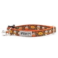 thumbnail image 1 of Pumpkin Spice Cat Collar, 1 of 3
