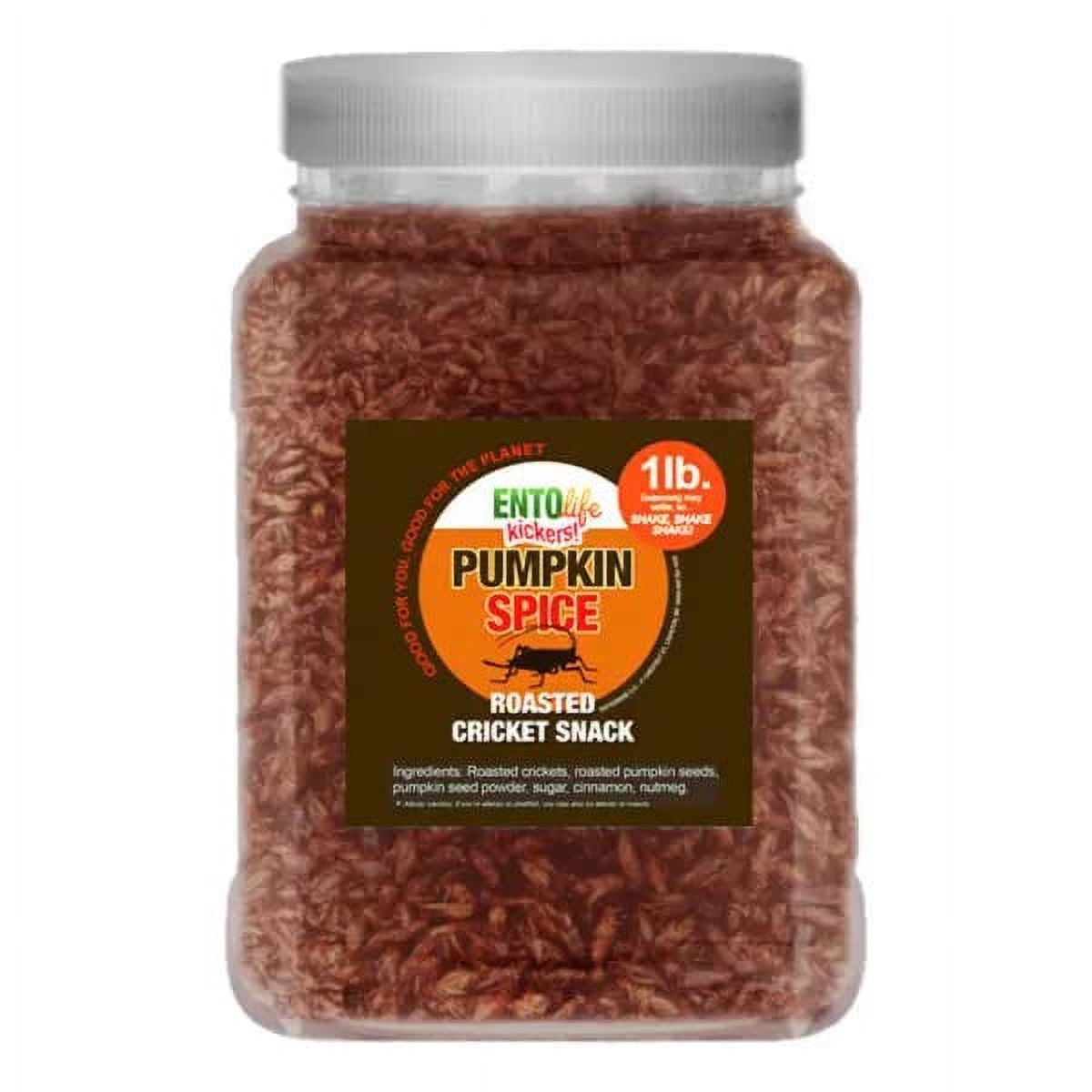 Pumpkin Spice Flavored Edible Cricket Snacks Pound Size Crickets