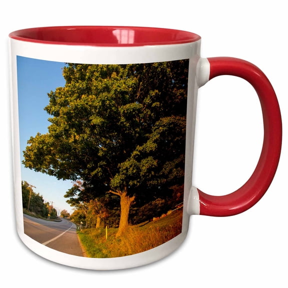 3drose, Pumpkin Stand Along Highway 22 in Empire, Michigan, Usa, 11oz Two-tone Red Mug