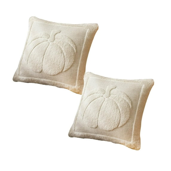 Pumpkin Throw Pillow Covers 20*20, Set of 2 White Cute Fall Halloween Pillow Cases for Sofa, Autumn Decor Soft Cushion Covers for Living Room Bedroom