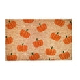 thumbnail image 1 of Pumpkin Welcome Carpet,Hello Pumpkin Welcome Funny Cute Doormat,Halloween Door Mat,Low-Profile Mat For Front Door/Patio,Cute Welcome Friends Rug For New Home/Indoor/Outdoor Use(B), 1 of 4