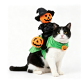 thumbnail image 1 of Pumpkin Witch Riding Pet Costume, Halloween Funny Dress‑Up Outfit for Cats Small Dogs, 1 of 5