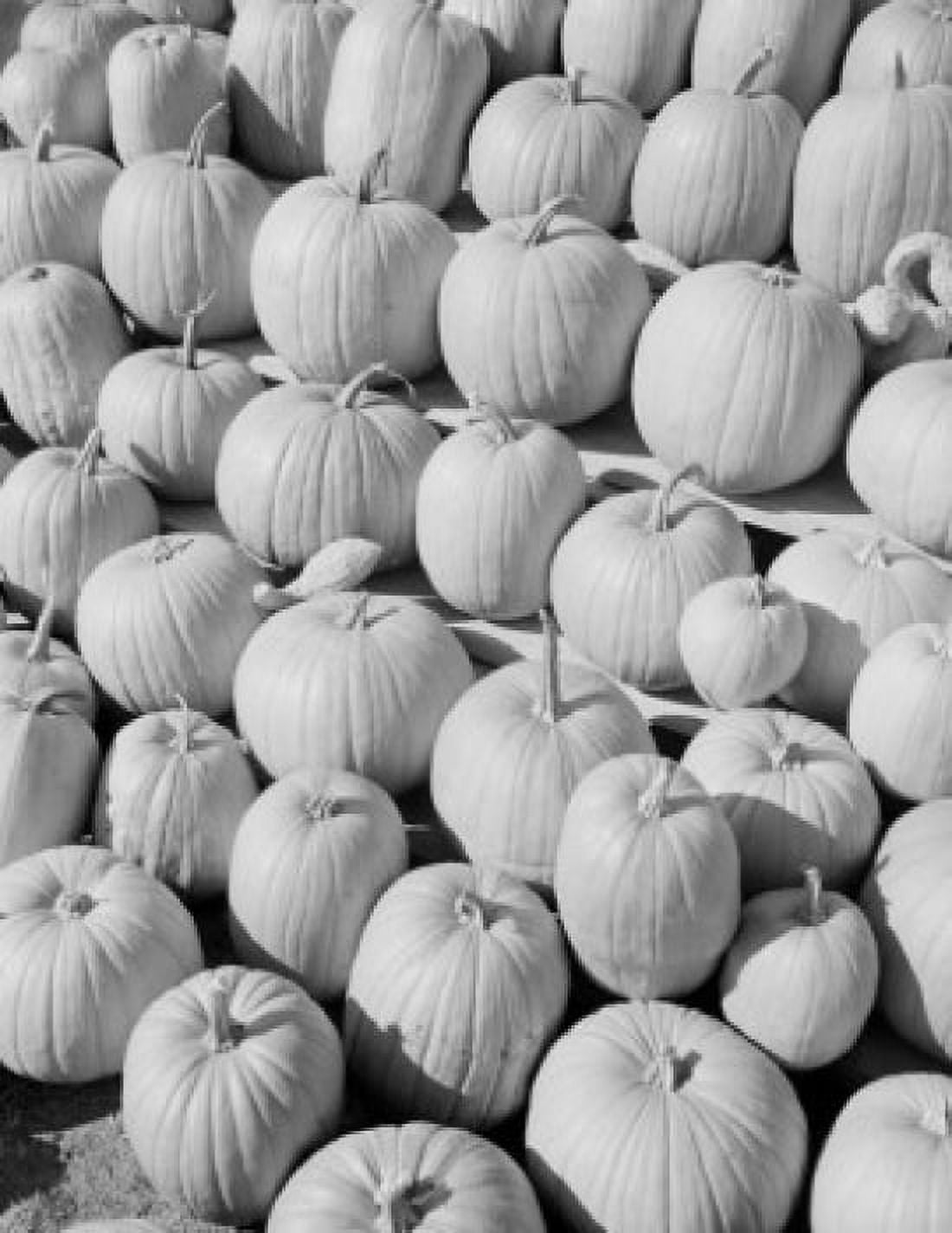 Pumpkin pattern Canvas Art - (18 x 24)