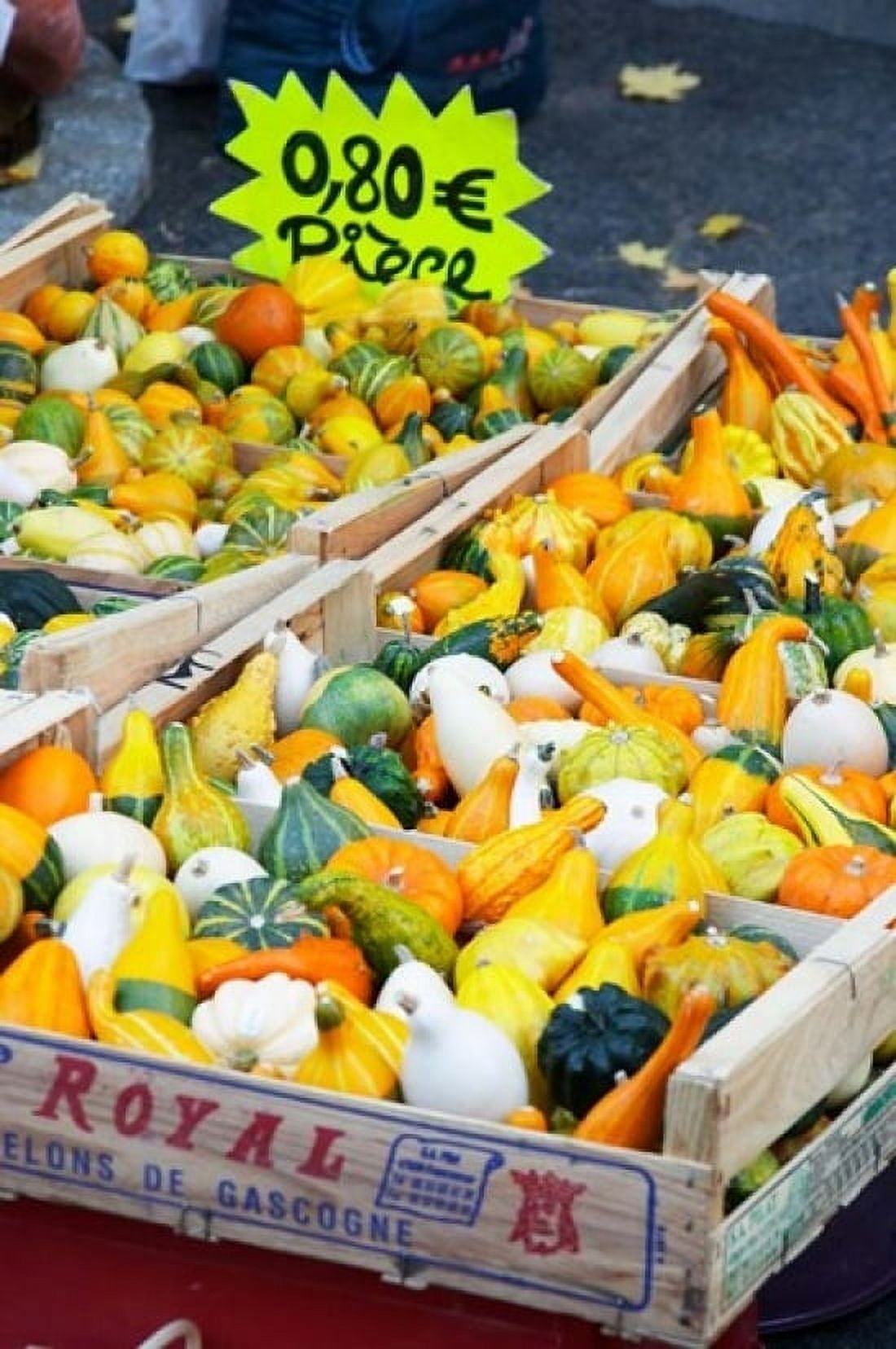 Pumpkins For Sale at Market Stall Canvas Art - Per Karlsson DanitaDelimont (24 x 36)