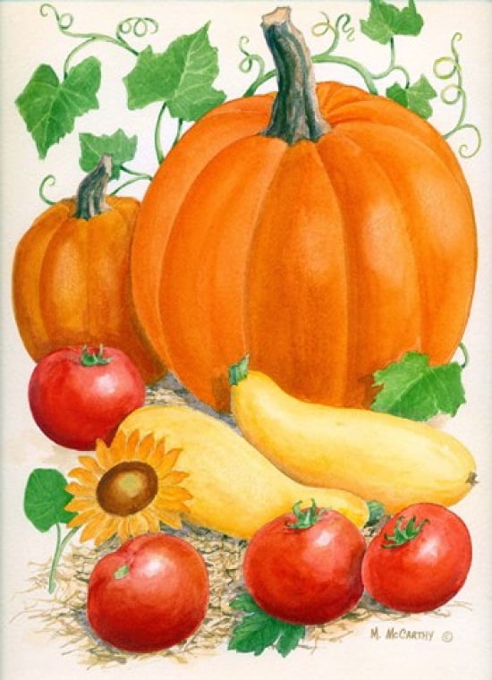 Pumpkins Tomatoes and Squash Canvas Art - Maureen Mccarthy (17 x 24)